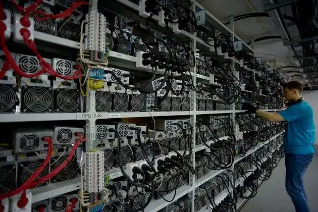 Dogecoin mining farm with energy-efficient hosting setups