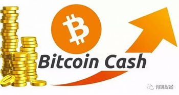 Efficient mining rigs are crucial for maximizing Bitcoin yields in Argentina.